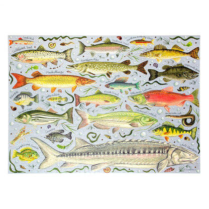 Freshwater Fish - 1,000 Piece Jigsaw Puzzle