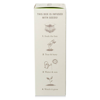 Fresh Picked Basil Diffuser 4 oz