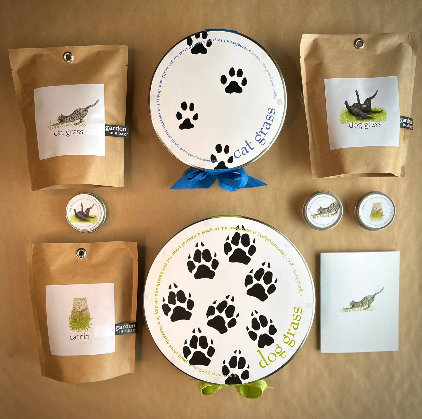 Garden in a Bag | Catnip | Spring Pet Treat Gift