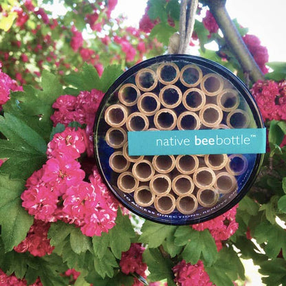Native Bee House | Habitat Builder to attract pollinators