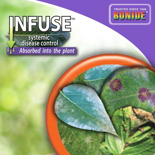 Bonide Infuse Systemic Disease Control