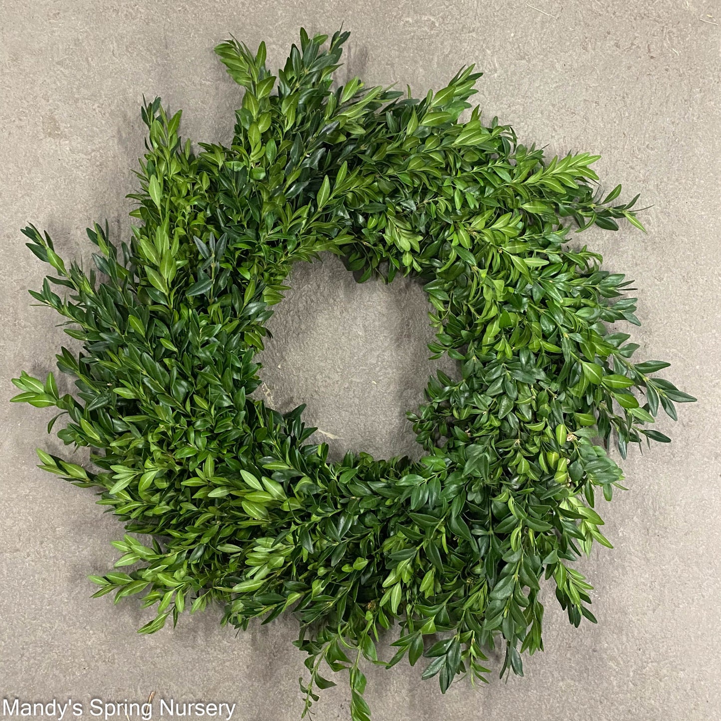 Custom Boxwood Wreath 12" - Hypoallergenic (PRE-ORDER)