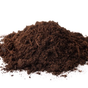 Peat Moss