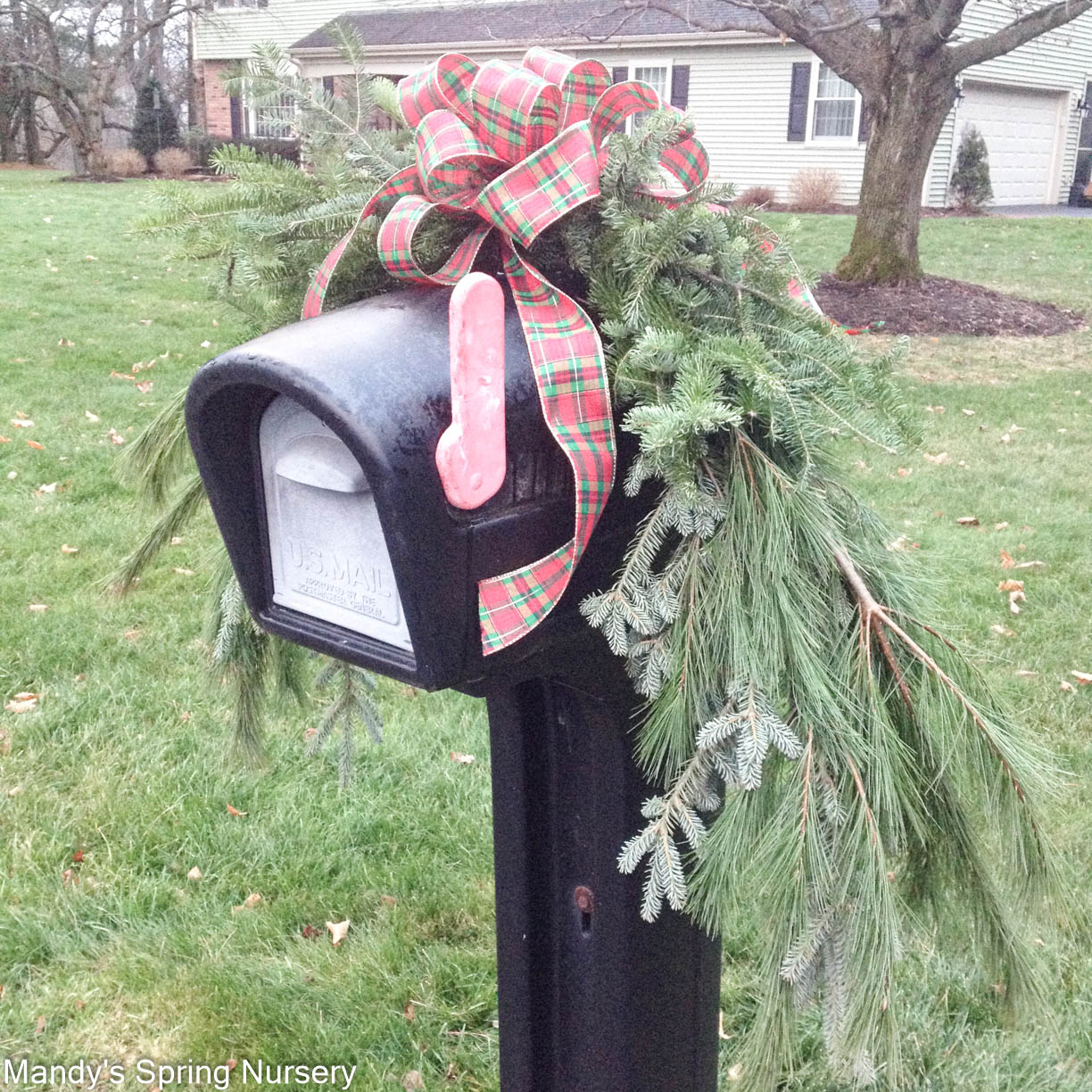 Mailbox Swag - Mixed Greens (PRE-ORDER)