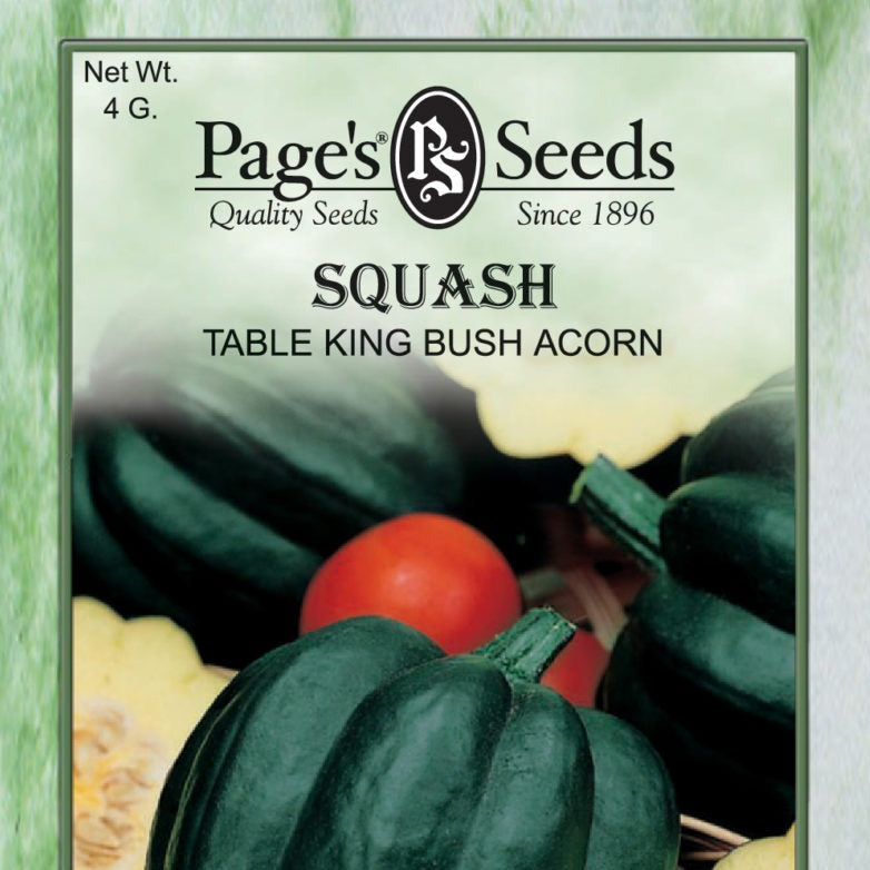 Squash, Table King Acorn Bush