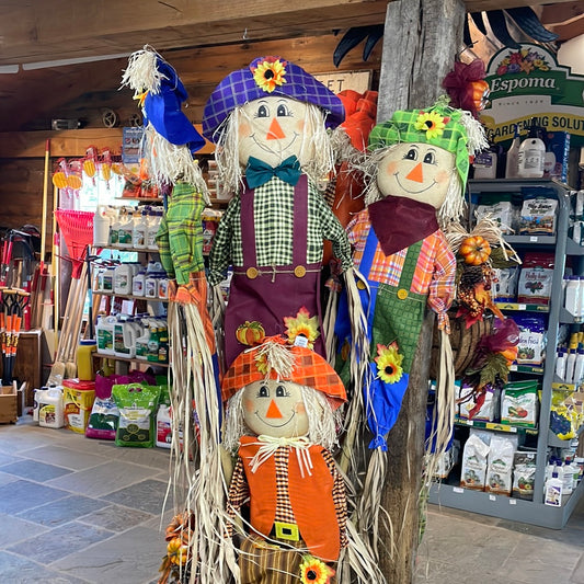 Assorted Staked Scarecrow