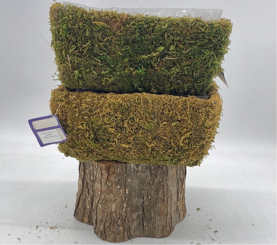 Moss lined pot -Deco Basket