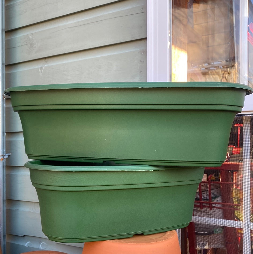 Panterra Oval Pot-Green