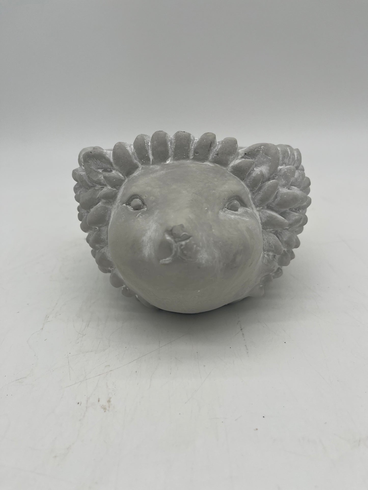 Buddy Cement Hedgehog Planter