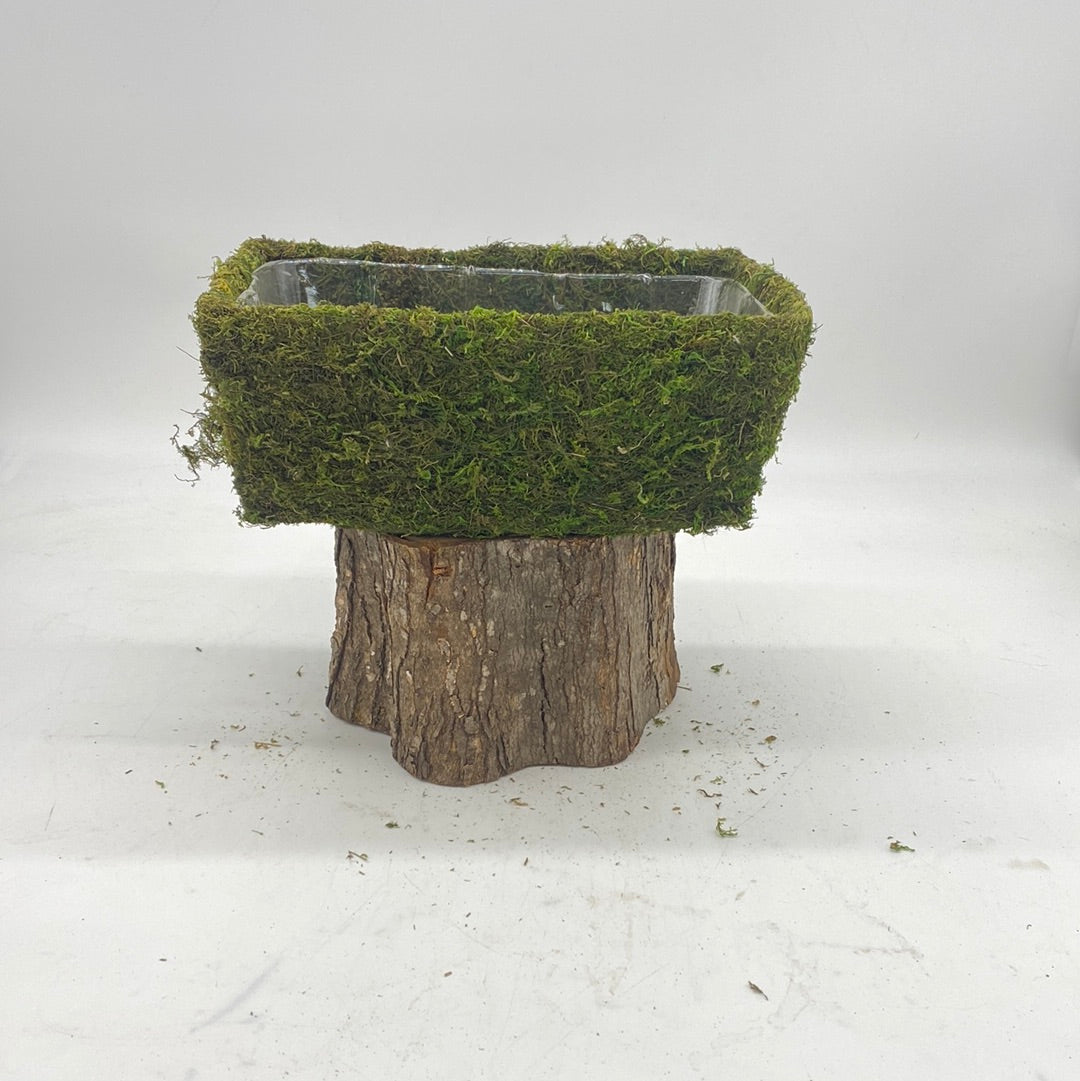 Moss Planters