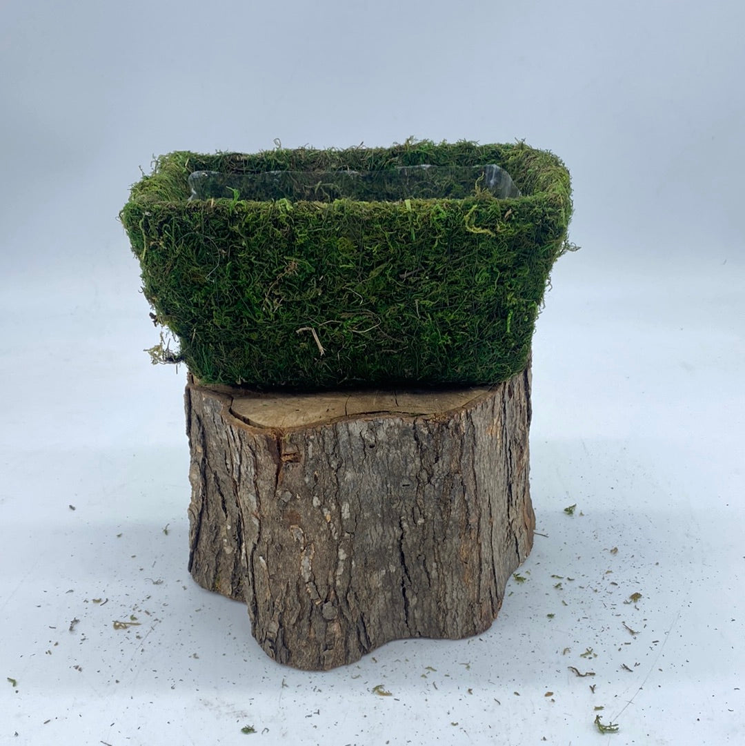 Moss Planters